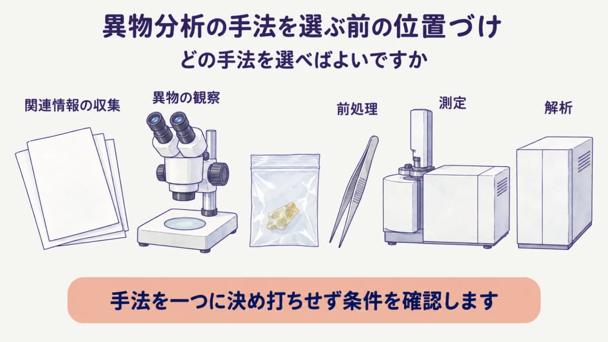 観察から解析へつなぐ実体顕微鏡と分析装置