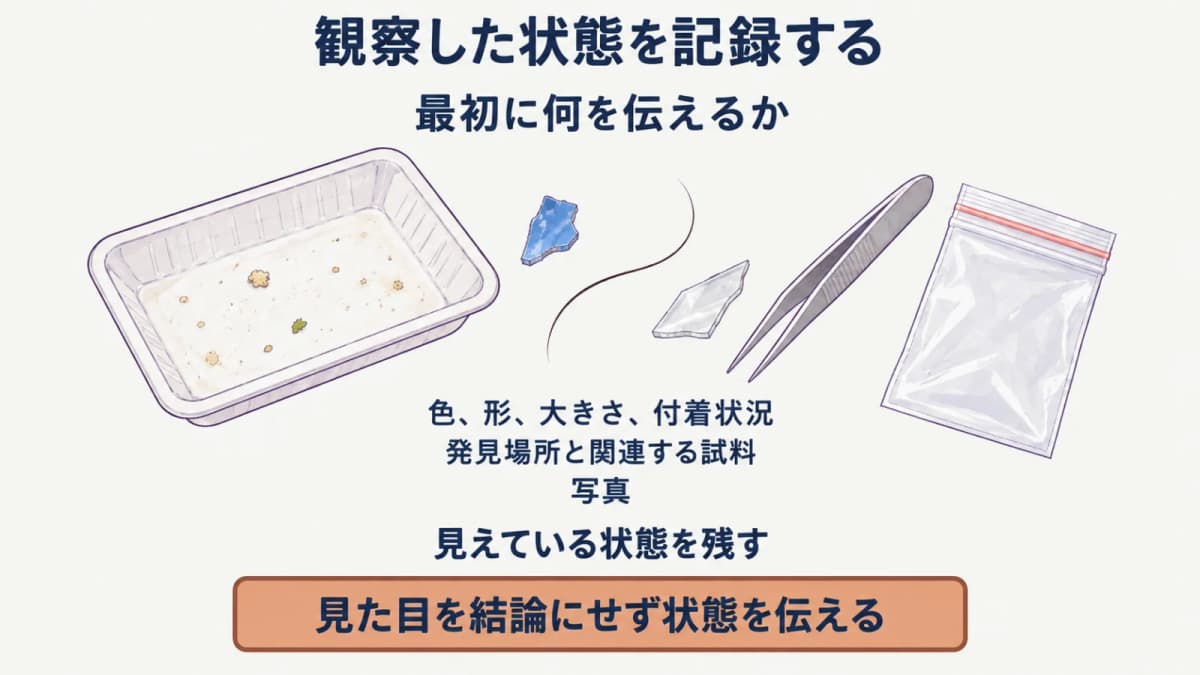 色形付着状況を記録する検体観察