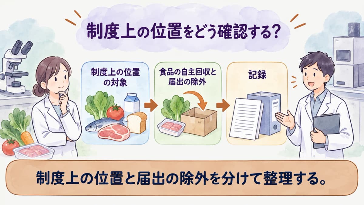 制度上の位置を整理する図