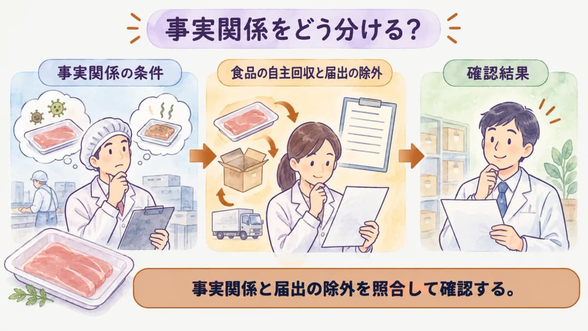 事実関係を整理する図